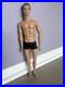 2006-Integrity-Toys-Jason-Wu-Fashion-Royalty-OOAK-Brunette-Francisco-Leon-Doll-01-bln