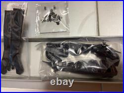 2008 Fashion Royalty Bewitching Hour Luchia Z Integrity Toys