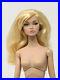 2013-Integrity-Toys-Poppy-Parker-To-The-Fair-Nude-Doll-W-Club-Exclusive-01-ybqn