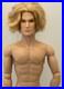 2014-Integrity-Toy-Fashion-Royalty-Gloss-Convention-Sterling-Reise-Rio-Male-Doll-01-bkx