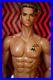 Adonis-Male-Doll-Hormones-by-Jason-Dimon-LE300-New-NRFB-01-vnst