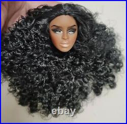 Fashion OOAK Adele Head Doll FR Royalty Barbie Integrity Toys