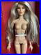 Fashion-Royalty-Breaking-Dawn-Amirah-Nude-Doll-Only-Integrity-Toys-Nuface-Meteor-01-ric