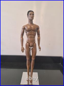 Fashion Royalty Doll Collection! Darius Reid! Nude Doll Only! New Condition