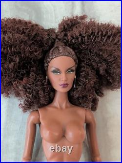 Fashion Royalty Doll Collection! Elements Of Enchantment Korriane Dimas Nude Fashion Royalty Doll Collection! Elements Of Enchantment Korriane Dimas Nude