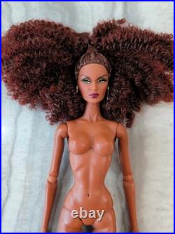 Fashion Royalty Doll Collection! Elements Of Enchantment Korriane Dimas Nude