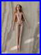 Fashion-Royalty-Doll-Collection-Erin-Salston-Nude-Doll-Only-Excellent-Condi-01-hj