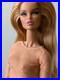 Fashion-Royalty-Doll-Collection-French-Kiss-Vanessa-Perrin-Nude-Doll-Only-01-yh