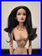 Fashion-Royalty-Doll-Collection-Glam-Vamp-Anja-Nude-Doll-Only-Excellent-01-xlhz