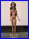 Fashion-Royalty-Doll-Collection-Isha-Kalpana-Nude-Doll-Only-Body-Of-01-hql