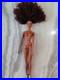 Fashion-Royalty-Doll-Collection-Korrien-Dumas-Nude-Doll-Only-New-Condition-01-vezk