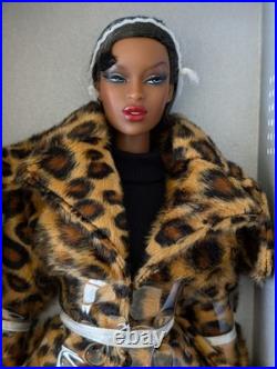 Fashion Royalty Doll Collection! Socialite Cafe Adele Mankeda Dressed Doll! 