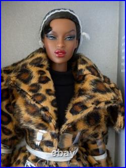 Fashion Royalty Doll Collection! Socialite Cafe Adele Mankeda Dressed Doll! 