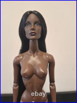 Fashion Royalty Dolls Collection! AFRO AMERICAN FASHION DOLL! NUDE DOLL! 