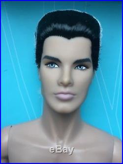 Fashion Royalty FR CABOT CLARK Color Infusion Doll 2017 Integrity Con STYLE LAB