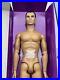 Fashion-Royalty-Integrity-Toys-Color-Infusion-Tobias-Alsford-Homme-Male-Doll-NEW-01-eay