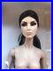 Fashion-Royalty-Intimate-Reveal-Agnes-Von-Weiss-nude-doll-VHTF-Convention-Exclus-01-ikku