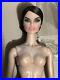 Fashion-Royalty-TAKE-ME-ON-VANESSA-Integrity-Toys-Complete-12-NUDE-01-ix