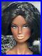 ITBE-Dressed-Second-Skin-Vanessa-Fashion-Royalty-Doll-Box-And-Stand-01-tmj