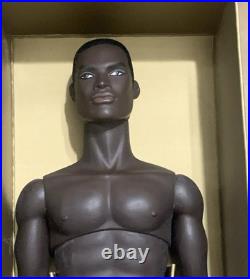 Integrity Fashion Royalty East 59th HONOLULU SUNSET AUGUSTUS GUS BLAKE NUDE Doll Integrity Fashion Royalty East 59th HONOLULU SUNSET AUGUSTUS GUS BLAKE NUDE Doll