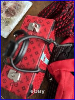 Integrity Toys Clothing And Case READ