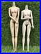 Integrity-Toys-Fashion-Royalty-Jason-Wu-Doll-Body-2005-Nude-Lot-Of-2-01-nksk