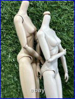 Integrity Toys Fashion Royalty Jason Wu Doll Body 2005 Nude Lot Of 2