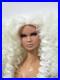 Integrity-toys-OOAK-Repaint-nadja-Fashion-Royalty-Custom-Art-Doll-Head-01-zwvm