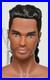 KEIRON-MOREL-STEP-REPEAT-12-5-NUDE-DOLL-Fashion-Royalty-KIERON-PLEASE-READ-01-zqjh
