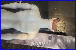 KYLE SPENCER AHS AMERICAN HORROR STORY COVEN INTEGRITY Official Doll 2016