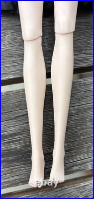 Lady In Waiting Dania Zarr Doll 12 2010 W Club Excl Integrity Fashion Royalty