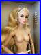 Little-Day-Ensemble-Veronique-Perrin-NUDE-Fashion-Royalty-Integrity-Toys-New-01-cvx