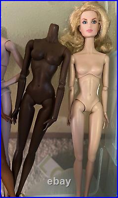 Lot of INTEGRITY TOYS FASHION ROYALTY DOLL BODIES. Damaged