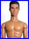 MLP-Tobias-Alsford-head-2016-body-2025-Fashion-Royalty-Homme-VERY-RARE-01-qdq