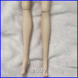 NUDE Integrity Toys Fashion Royalty Eye Candy Rayna Ahmadi Doll Stand/COA/Box