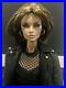 NuFace-Full-Speed-Erin-Salston-Doll-Complete-VGC-LE400-Supermodel-Convention-01-zg