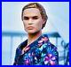 Poppy-Parker-BEACH-Mystery-Date-Dressed-Fashion-Royalty-MILO-MALE-DOLL-only-01-pg