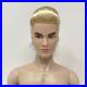 Poppy-Parker-MYSTERY-DATE-FORMAL-DANCE-12-NUDE-MALE-DOLL-Fashion-Royalty-01-yrp
