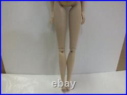 Vintage Integrity Toys Pretty Calculated Erin Fashion Royalty 2007 Nude Doll Onl
